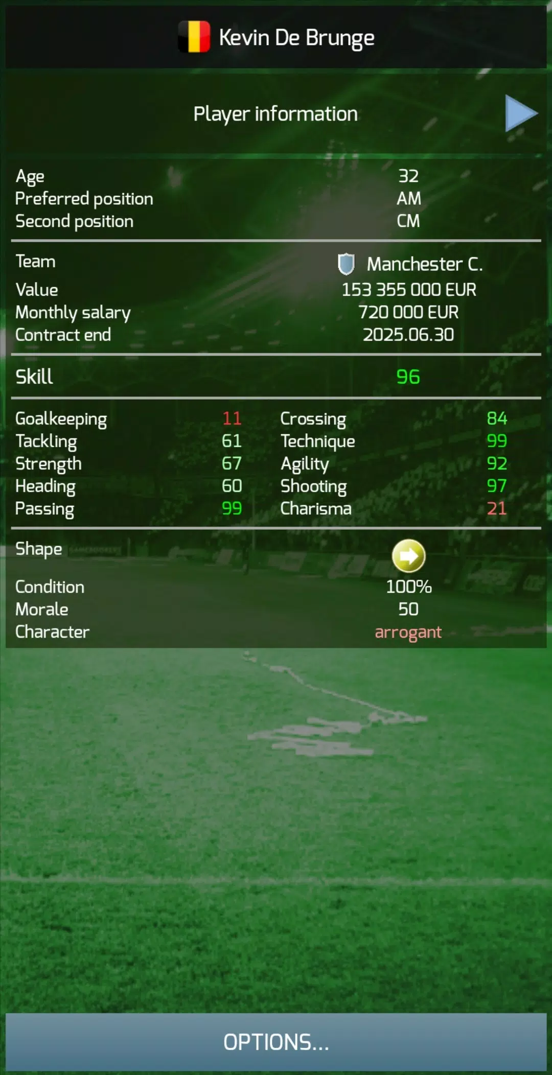 True Football 3 Screenshot 4