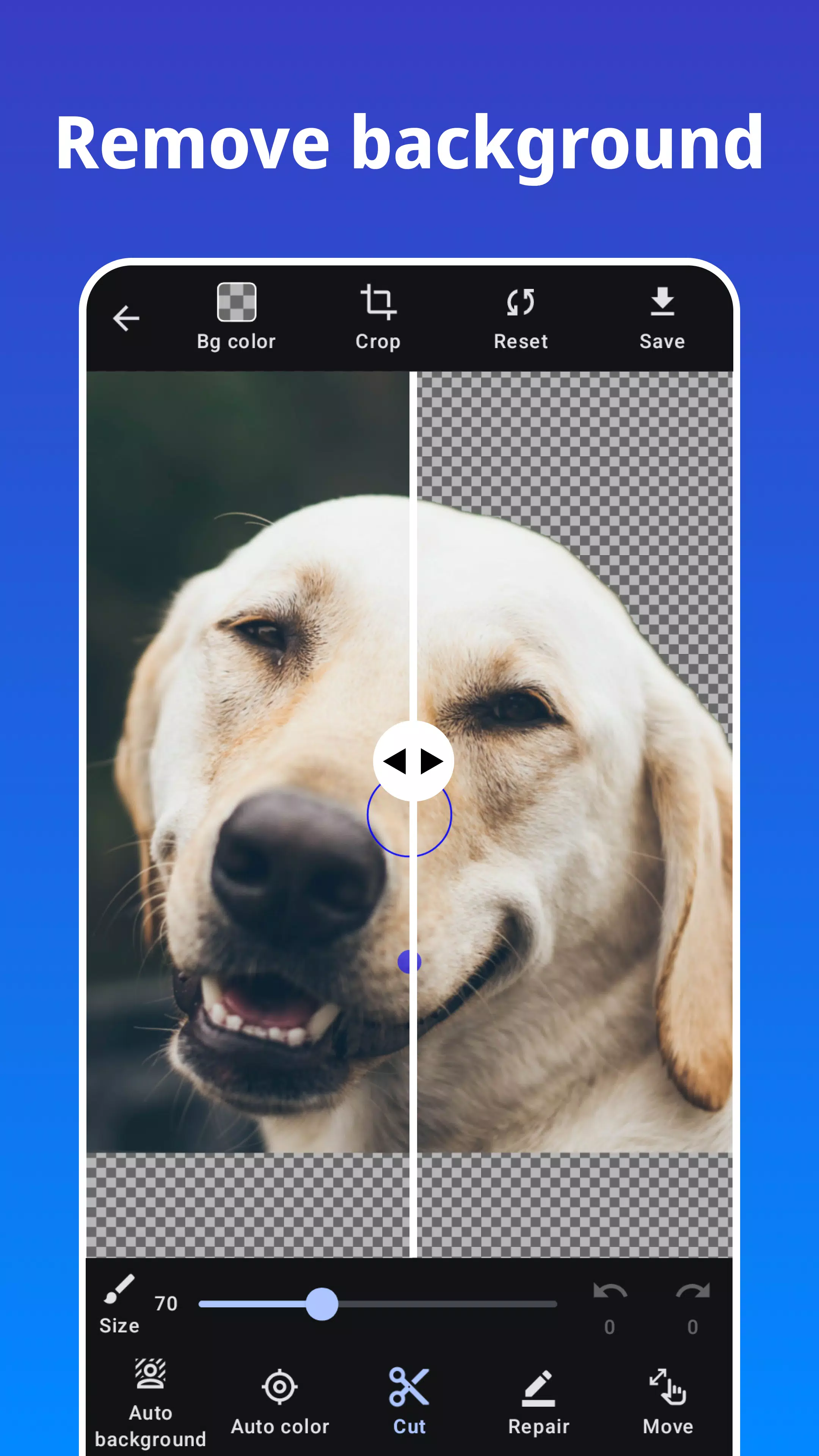 Photo Blur Screenshot 3