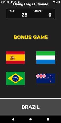 Flying Flags Ultimate Скриншот 2