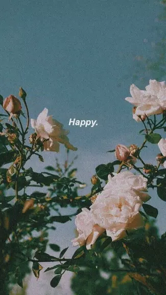 aesthetic background Screenshot 1