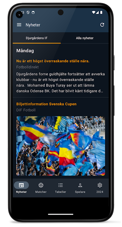 Allsvenskan 2024 스크린샷 1