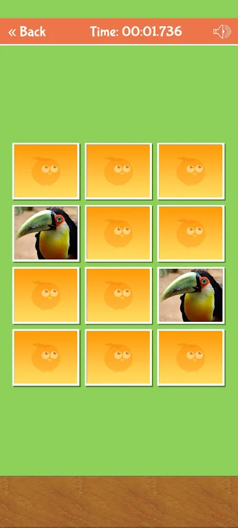 Birds Memory Match Game Capture d'écran 1