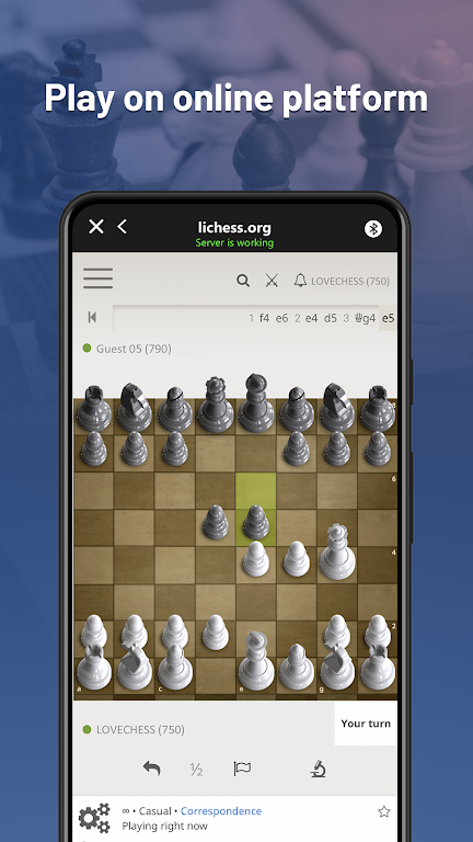 Chessnut 스크린샷 2