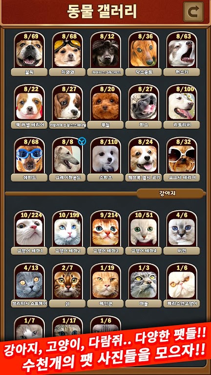 애니멀 맞고 - 동물 팻 고스톱 Captura de tela 4