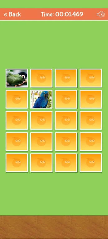 Birds Memory Match Game Capture d'écran 3