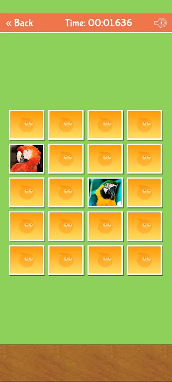Birds Memory Match Game Capture d'écran 4