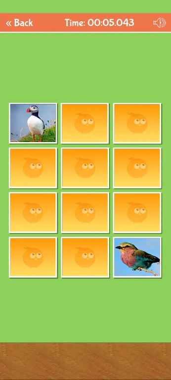 Birds Memory Match Game Capture d'écran 2