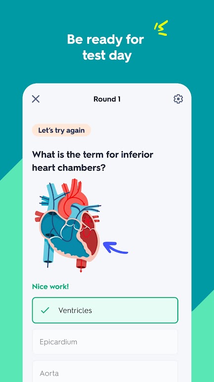 Quizlet: AI-powered Flashcards Mod ဖန်သားပြင်ဓာတ်ပုံ 3