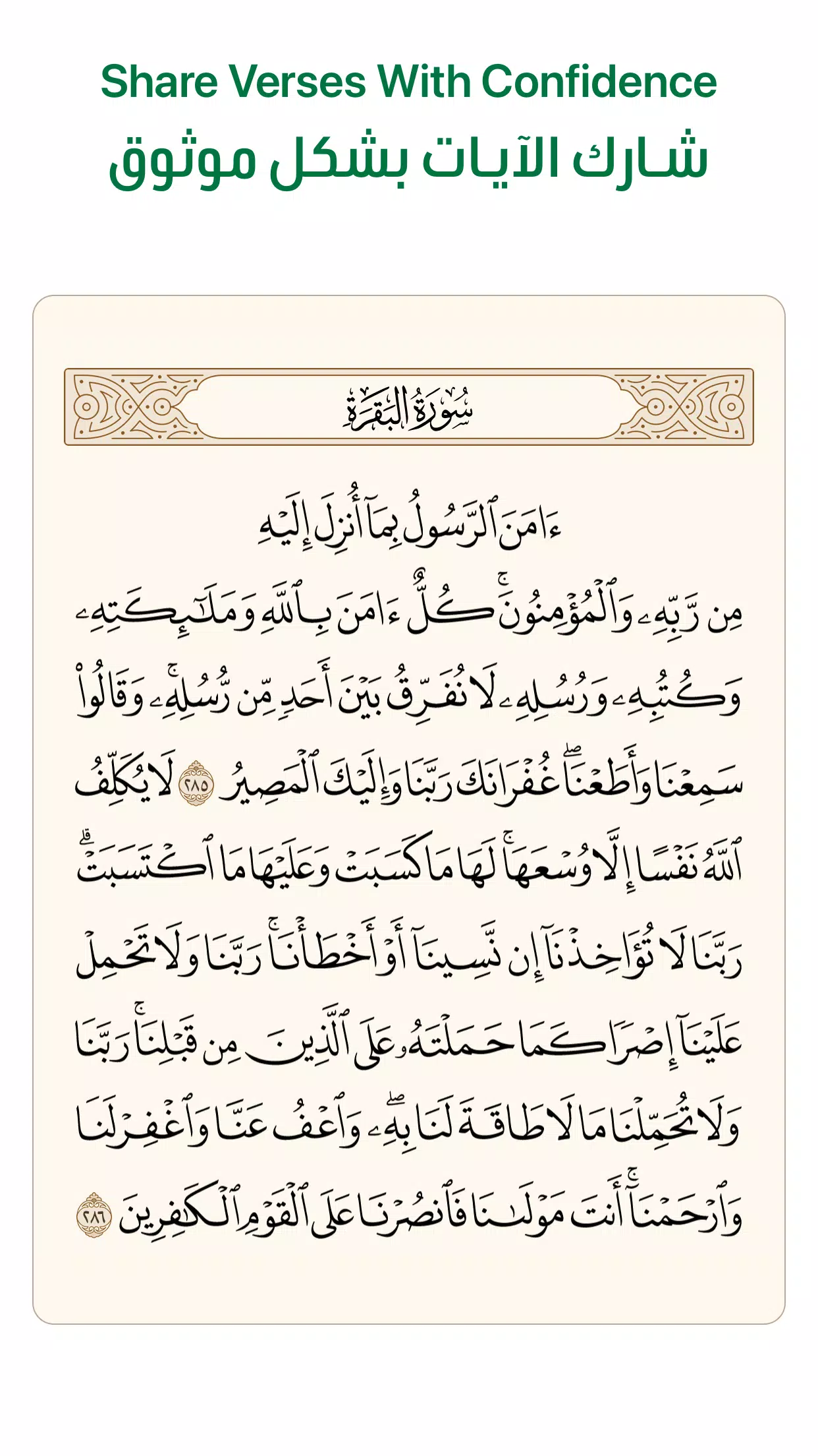 Schermata Ayah 4