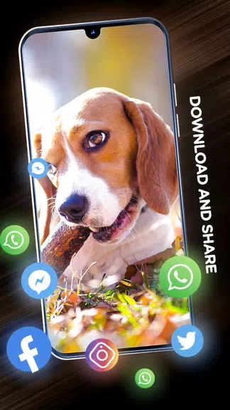 Wallpapers with dogs in 4K應用截圖第3張