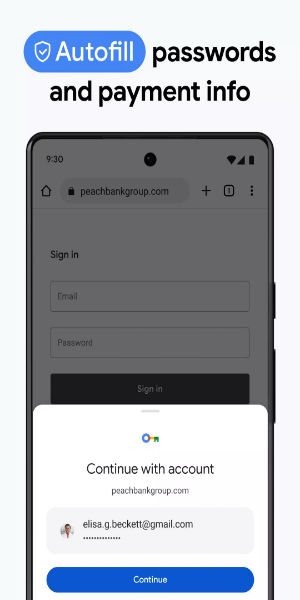 Google Chrome Captura de pantalla 3