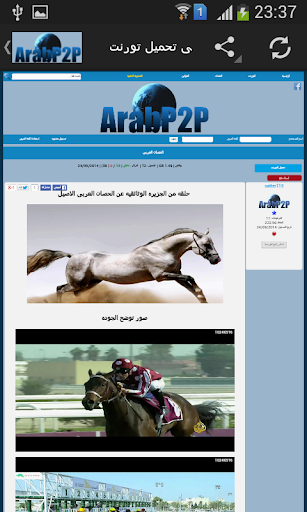 Arabp2p | التراكر المفتوح Скриншот 3