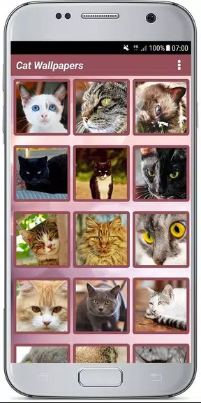 CUTE CAT WALLPAPERS স্ক্রিনশট 2