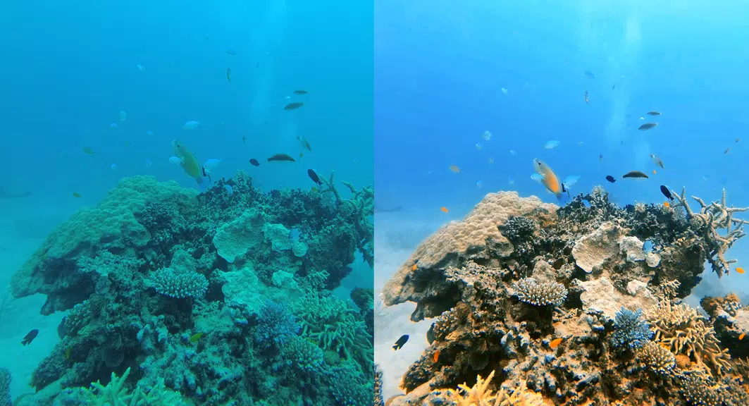 UwEdit - Diving footage editor 스크린샷 1