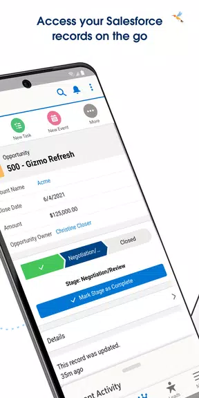 Salesforce Captura de pantalla 3