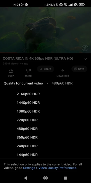 YouTube ReVanced Extended应用截图第2张