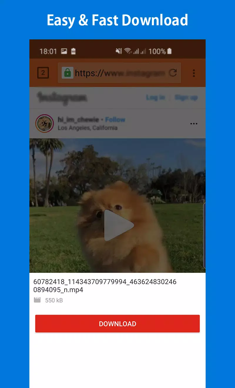 X Video Downloader - Free & Fast Video Downloader Ảnh chụp màn hình 1