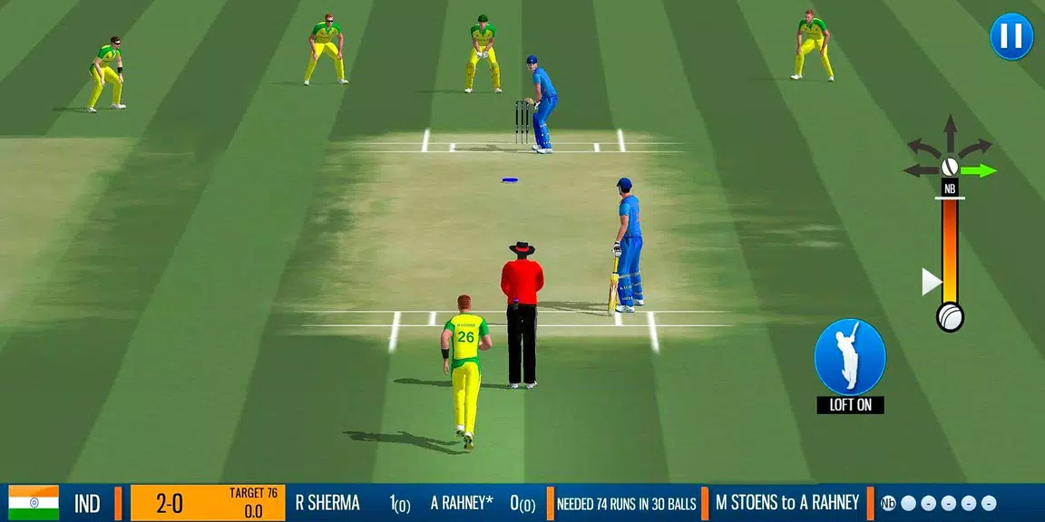 WCB2 Play My Career Cricket應用截圖第1張