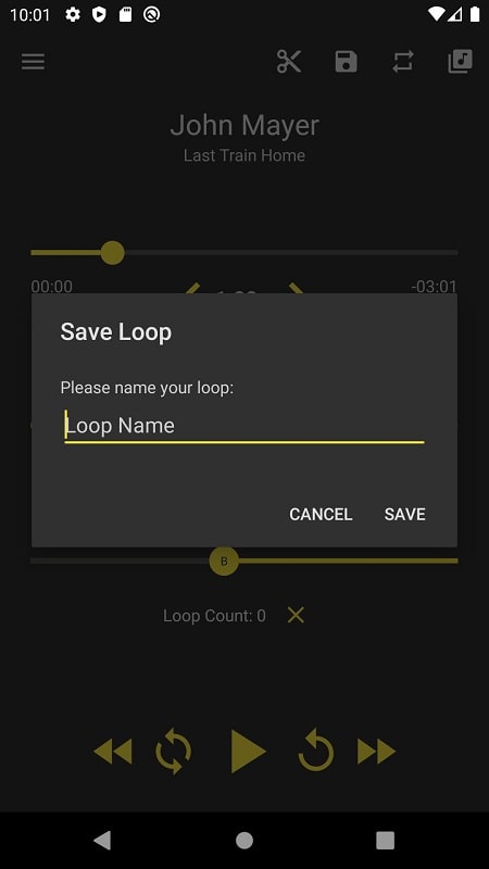 Loop Player Captura de tela 3