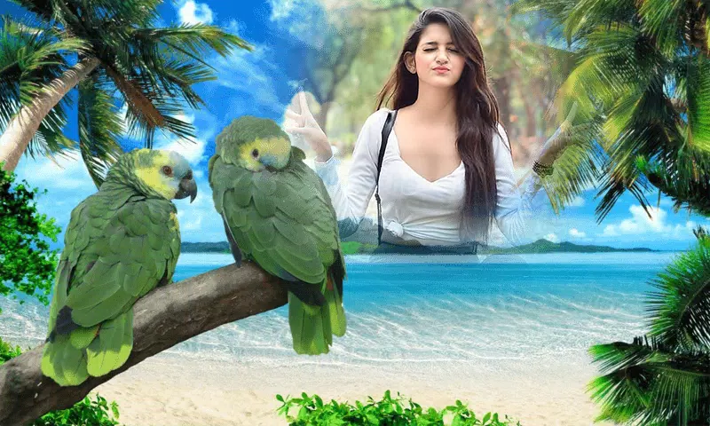 Birds Photo frame : Bird photo Screenshot 1