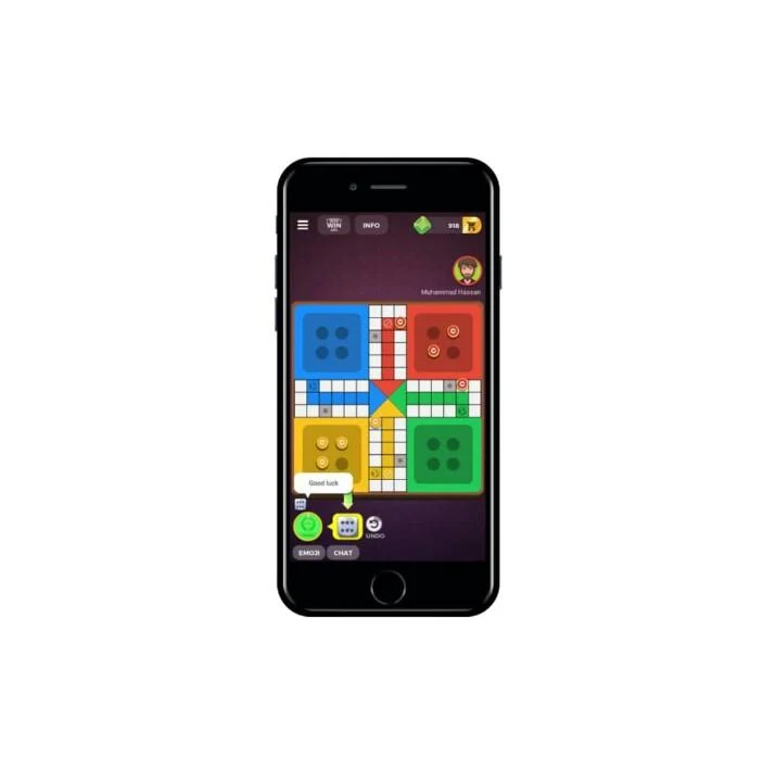 Ace Zain Ludo Screenshot 2