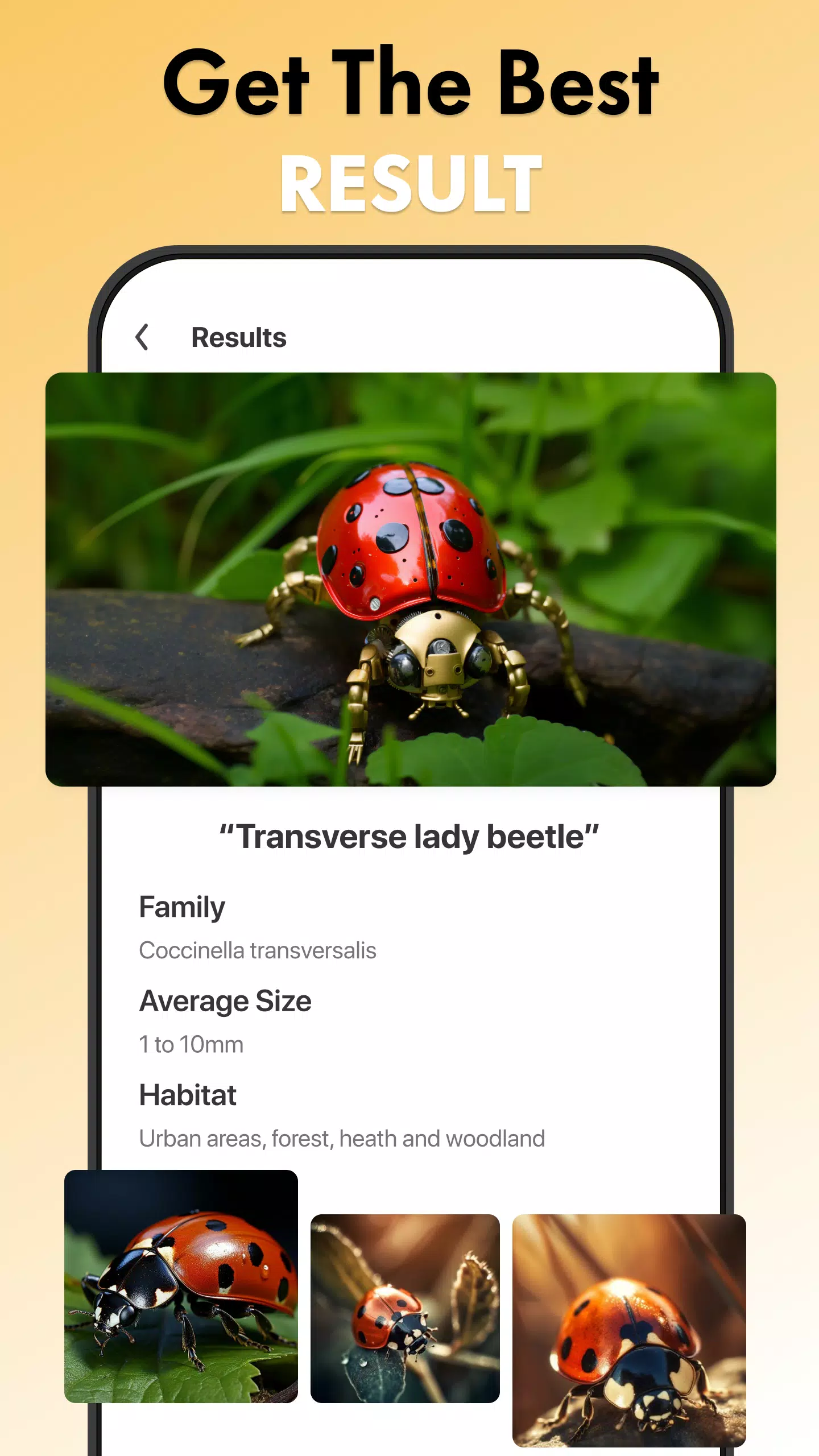 Insect Identifier Bug Identify Ảnh chụp màn hình 3