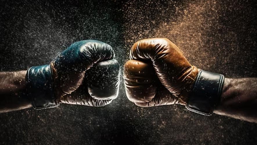 Mr zelgha fight city ภาพหน้าจอ 4