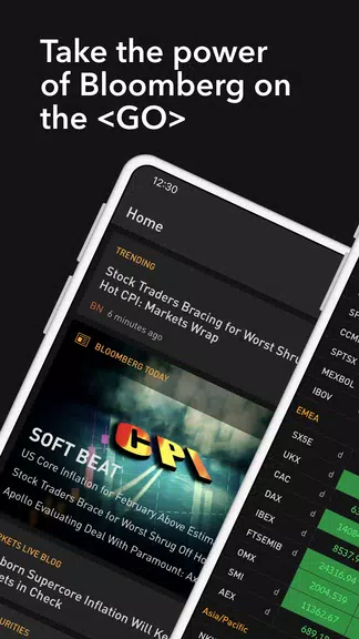 Bloomberg Professional ဖန်သားပြင်ဓာတ်ပုံ 1