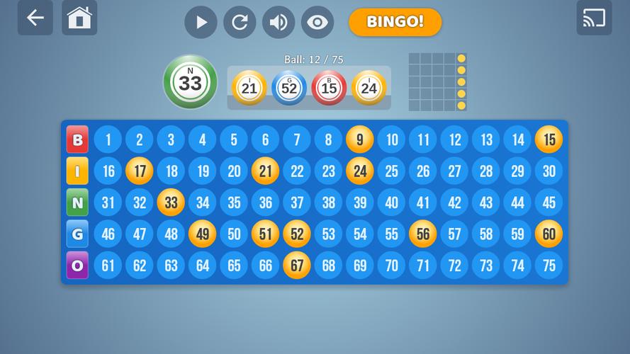 Bingo Set スクリーンショット 4