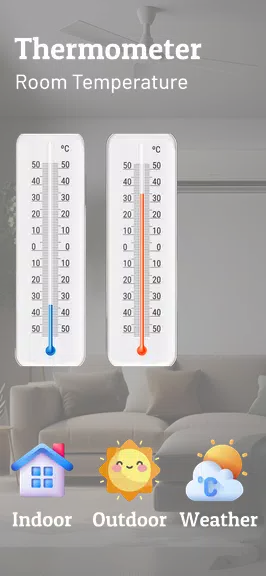 Thermometer Room Temperature應用截圖第2張