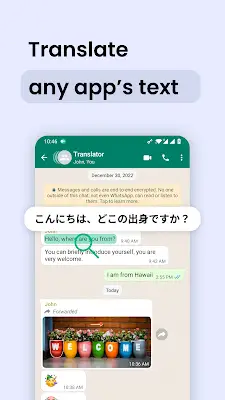 Instant Translate On Screen ภาพหน้าจอ 2