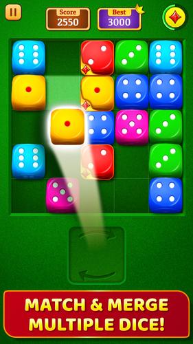Dice Puzzle Capture d'écran 1