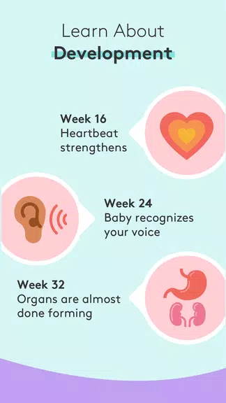 Schermata Pregnancy Tracker & Baby App 3